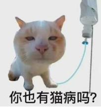 DƬ